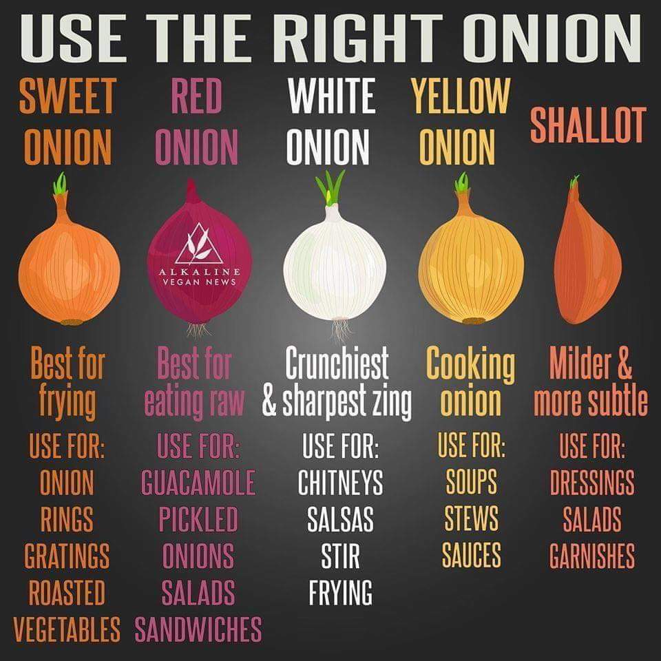 Onion Chart For Cooking